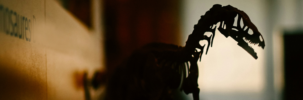 Shadow Of Dinosaur