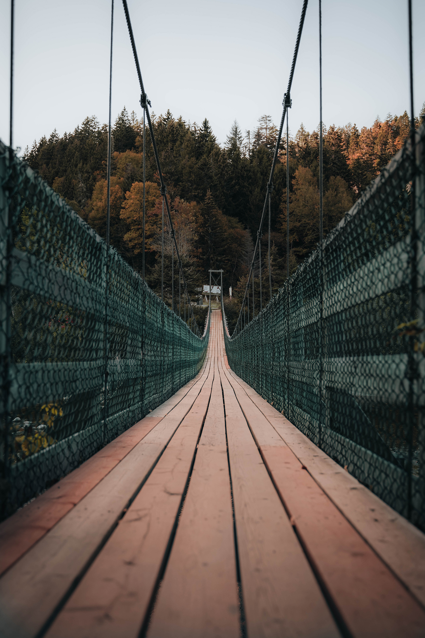 Suspended Wood Plank Bridge