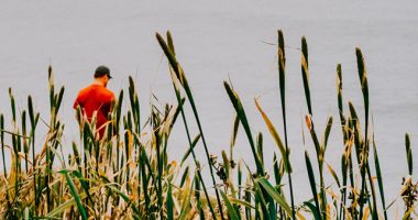 Man With Red T-shirt Standing In Reeds By The Ocean During The Day