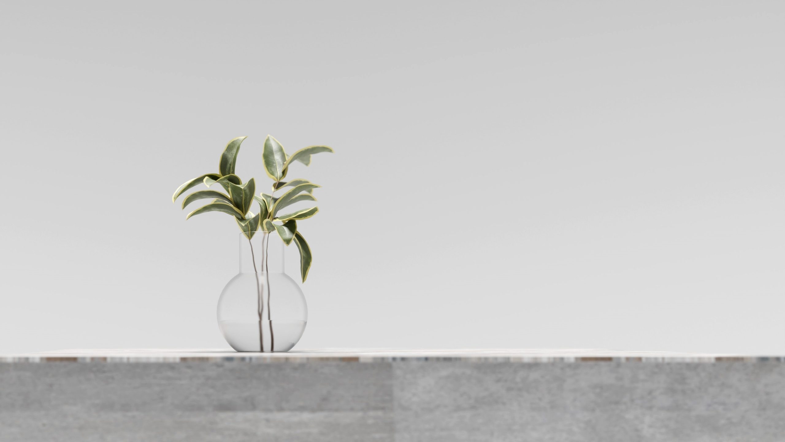 Green Leaves In Glass Vase On Concrete Table